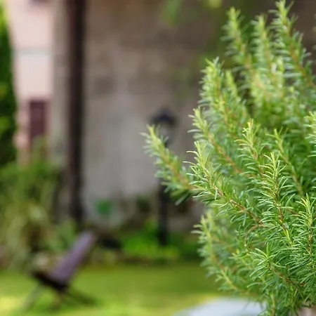 I D'a Charming Penthouse - View- Como- House-130 Mt-2 Double Bedrooms And 2 Double Bathrooms A Spacious Living Room-full Equipped Kitchen-private Garden And Terrace-private Covered Parking Apartamento *