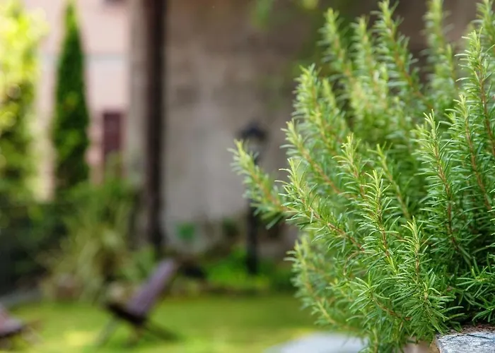 I D'a Charming Penthouse - View- Como- House-130 Mt-2 Double Bedrooms And 2 Double Bathrooms A Spacious Living Room-full Equipped Kitchen-private Garden And Terrace-private Covered Parking דירה *